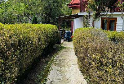 Casa de Vanzare Sanduleni Jud Bacau - 9