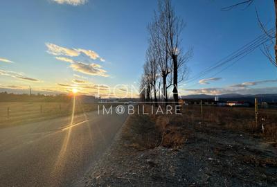 Hala si teren 2,5 ha - infrastructura industriala - 3