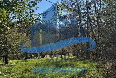 Teren in zona turistica Porumbacu de Sus Teren in zona turistica Porumbacu de Sus - 4