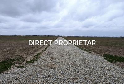 Teren Construcții intravilan de 9545 mp, în Vidra - 5