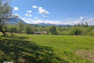 Teren de 5967 mp, în Bran - 12
