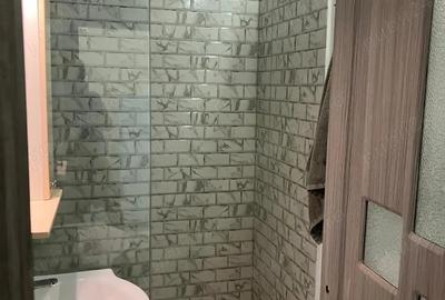 Inchiriez garsoniera Fizicienilor sector 3 Inchiriez garsoniera Fizicienilor sector 3 - 8