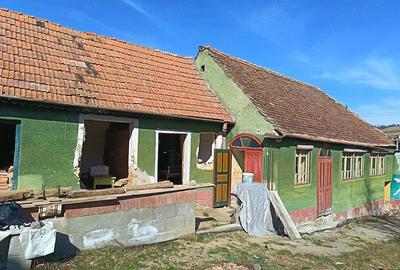 Casă cu Teren 1565 Mp în Sângătin - 2