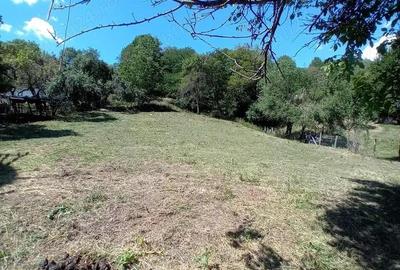 De vanzare teren intravilan in zona de munte - 7