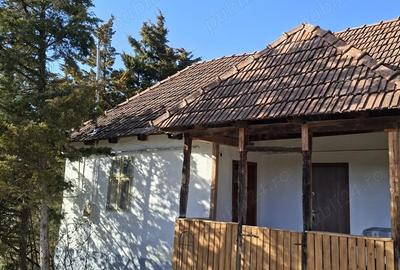 Casă cu Teren 1700 Mp în Săbed - 4