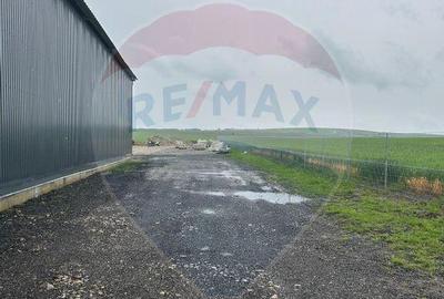 Spațiu comercial, de 345 mp, în Șerbăuți - 3