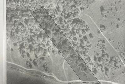 Vand teren Lacul Surduc - 3