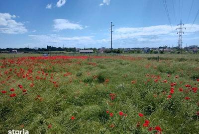 Teren de 1000 mp, în Agigea - 4