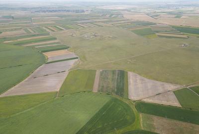 Teren arabil de 40 hectare in Zarand Teren arabil de 40 hectare in Zarand - 6