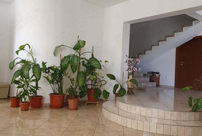 Casa de vanzare in Sannicolau Mare - 3