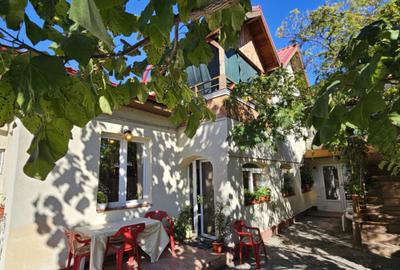 Casa curte- Metrou Pieptanari - 13