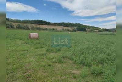 Teren de 22400 mp, în Fundătura