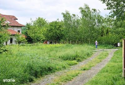 Teren de 833 mp, în Balotești - 3