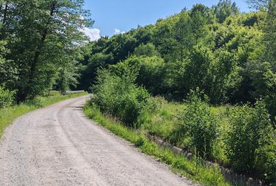 1,3 HA TEREN EXTRAVILAN, Muntii Apuseni, Negreni, jud. Cluj, la 5 km de E60 - 8