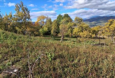 Spațiu comercial, în Sânbotin - 4