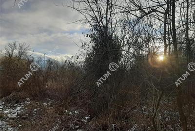 Teren Intravilan 1600 mp in Avrig zona Valea Avrigului - 3