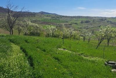 Teren Construcții extravilan de 26000 mp, în Valea Sicheviței - 4