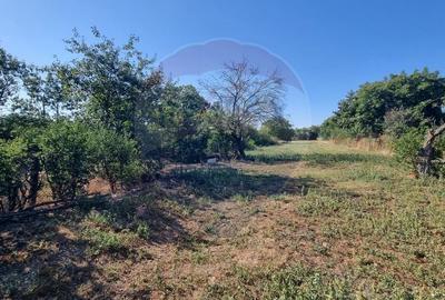 Teren construcție, în Balotești - 10