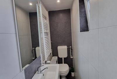 Calea Victoriei-Cismigiu-Apartament 2 camere cu terasa, renovat recent, mobilat - 10