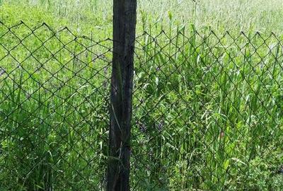 Casă cu 2 camere în Târsa - 2