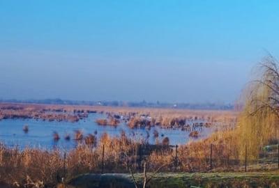 Vand teren intravilan 4000MP cu  dechidere la Delta Neajlovului, Comana GR - 5