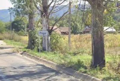 Teren de 4925 mp, în Prigor - 3