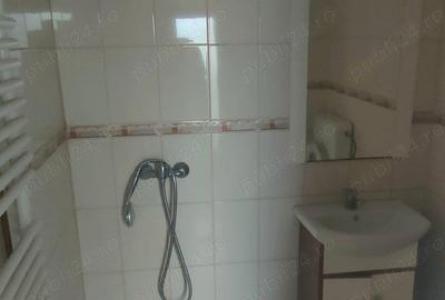 Casa Sagului -Rebreanu de vanzare - 4