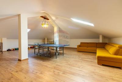 Vilă P+E+M cu 4 camere, 320 mp, Berceni/Ilfov - 22