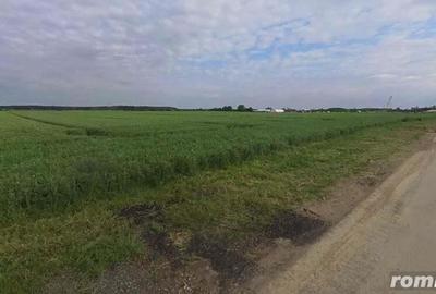 Teren de 40000 mp, în Moara Vlăsiei