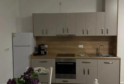 Apartament cu 2 camere semidecomandat în Central - 5