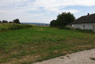 Teren de 2500 mp, în Timișești - 3