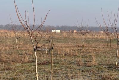 Teren intravilan de 749000 mp, în Bucești - 2