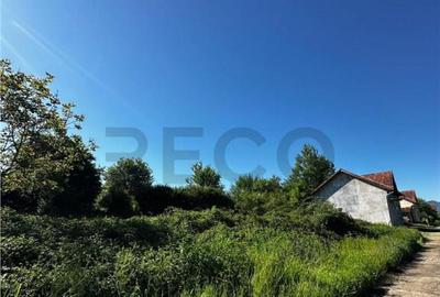 Reco Teren intravilan Beius - 2