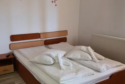 Vila de vanzare in Predeal - 8