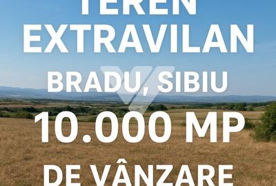 Teren extravilan de vanzare in Bradu - Sibiu – 10000 mp - 1