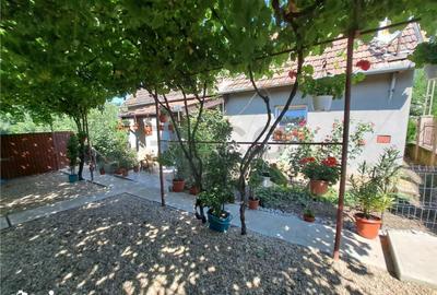 Casă cu 4 camere cu Teren 1439 Mp în Central - 16