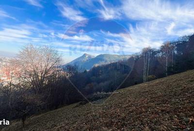 Spațiu comercial, în Schei - 11