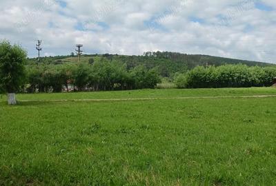 Teren de 2000 mp, în Moacșa