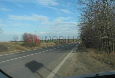Teren de 61830 mp, în Belciugatele - 3