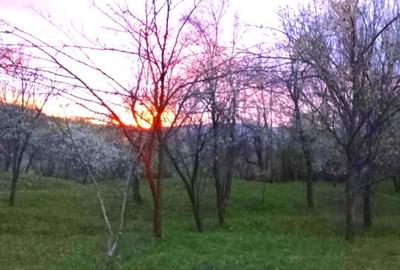 Casă individuală cu 6 camere cu Canalizare în Sud - 20