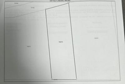 Teren de 1000 mp, în Hamba - 1