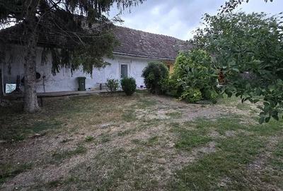 Casă cu 2 camere cu Teren 700 Mp în Orțișoara - 8
