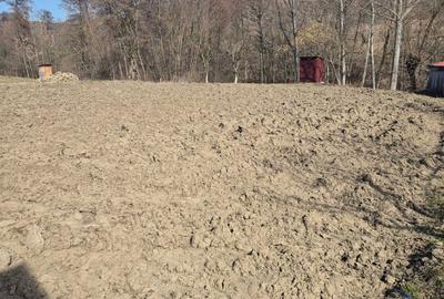 Casă cu 3 camere în Preutești - 5