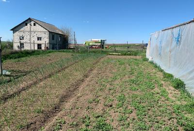 Fermă de vânzare în com. Deleni - DN3 - 10.680 mp - 84 m deschidere - 21