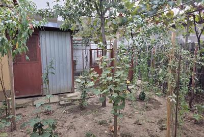 Casa de vanzare, 2 camere, 65 mp, teren 295 mp, sector 6 - 4