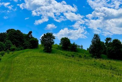Terenuri extravilane Cozieni, jud. Buzau 70000mp - 4