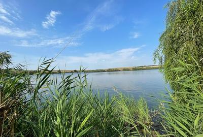 Casă cu 2 camere cu Teren 1134 Mp în Central - 17