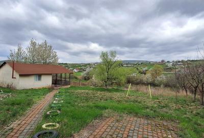 Casă în Todirel - 6