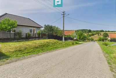 Casa renovata cu teren generos langa Ususau - 14