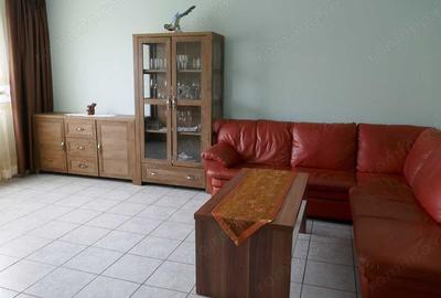 Casa de inchiriat cu 4 camere in apropiere de Lidl-ul de pe str Nicolae Andreescu - 5